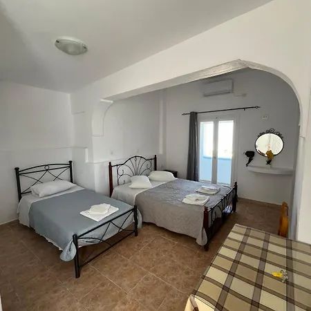 ステラ ノミコウ フィロステファニ