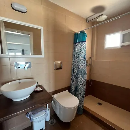 ステラ ノミコウ