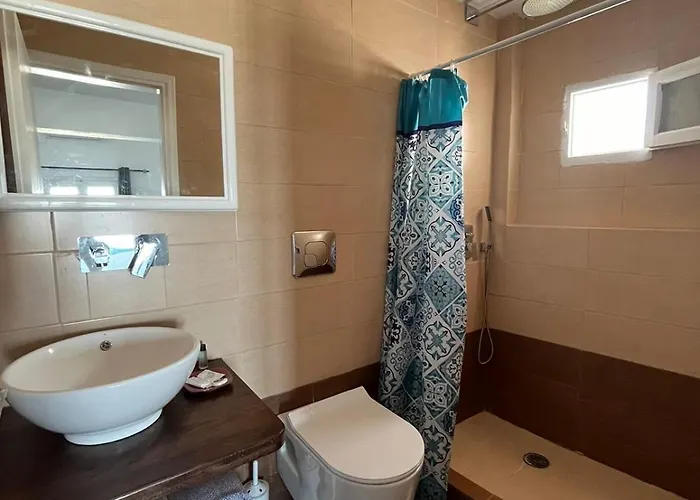 στέλλα νομικού