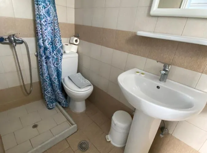 ステラ ノミコウ フィロステファニ