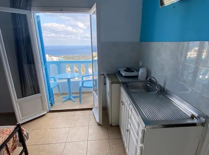 ステラ ノミコウ フィロステファニ